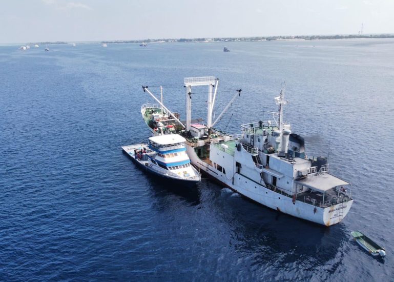 332093546_1830282557352043_7550132939521799481_n