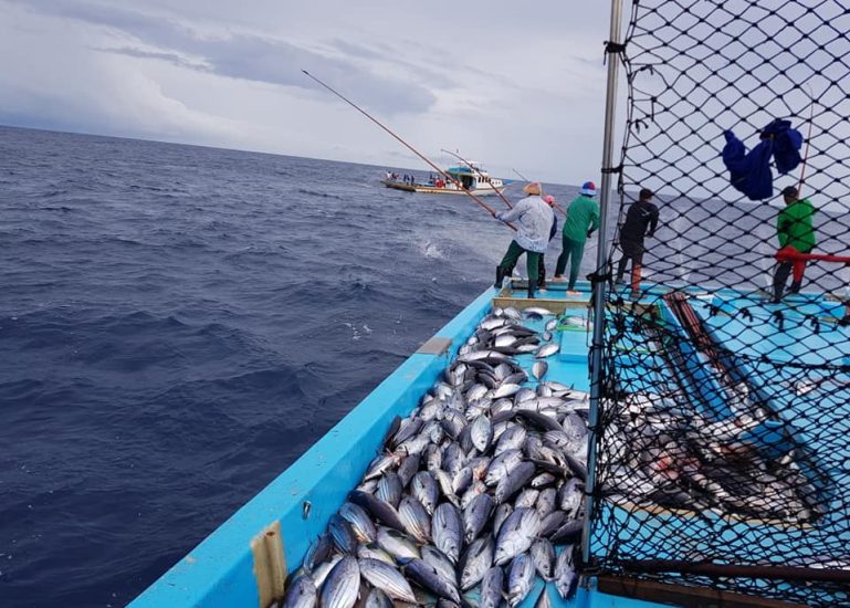 33324970_2032630843663587_137245435130544128_n