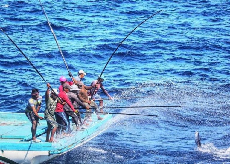 ދިވެހި މަސްވެރިން މަސްވެރިކަމުގެ މަސައްކަތުގައި. ފޮޓޯ:ފޭސްބުކް