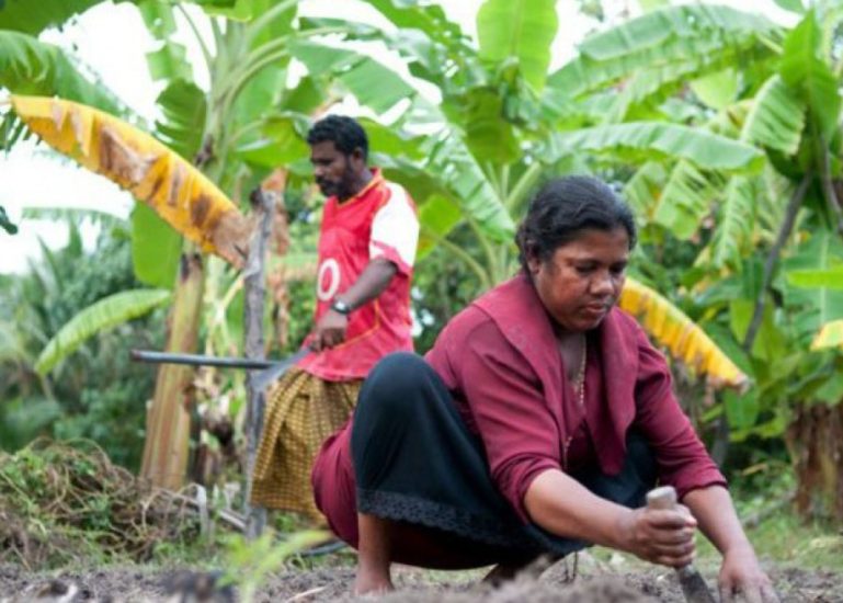 Agriculture
