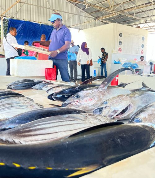 Hulhumale Fish Market (20)