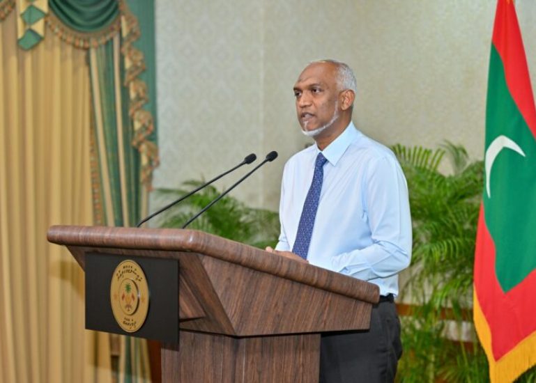 IMG_3907-768x512 (1)