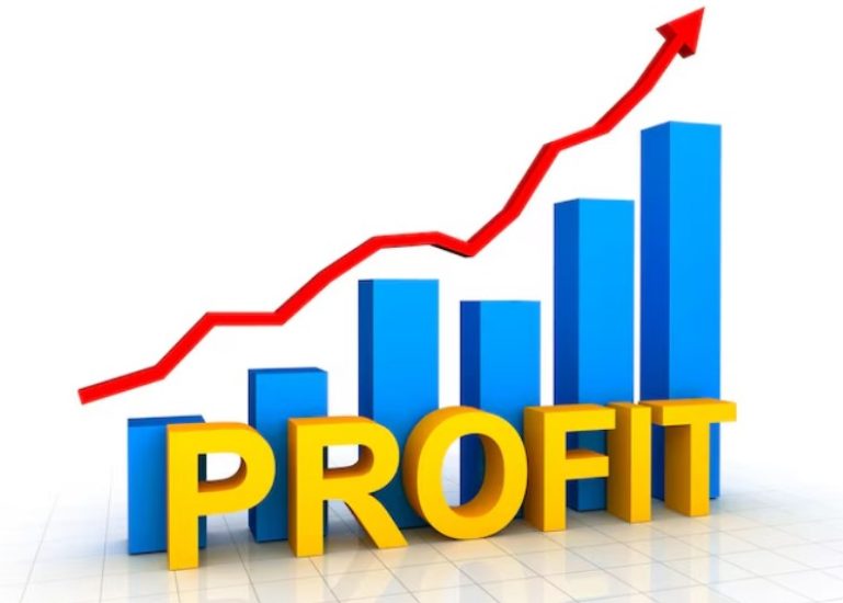 Profit