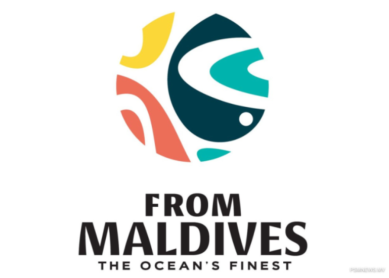 big_6Bhwdjguho0HT7ZR4deFIroSu