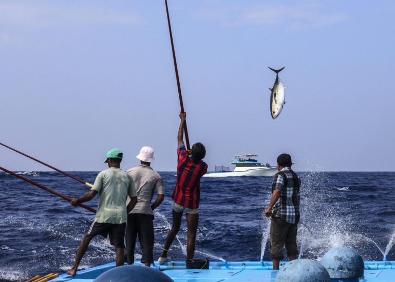 fishing