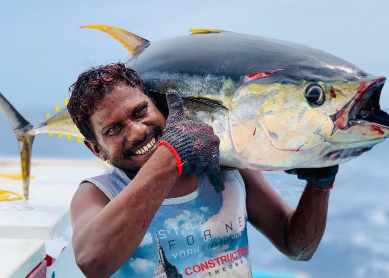 large_15828223486y6RA